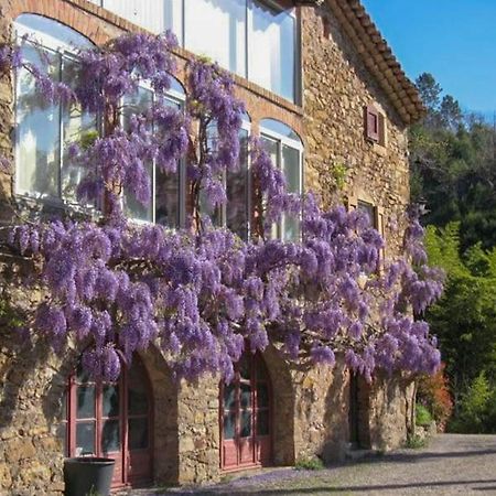 La Barriére Chambre D'Hote Mas D'Alzon A St Jean Du Pin المظهر الخارجي الصورة